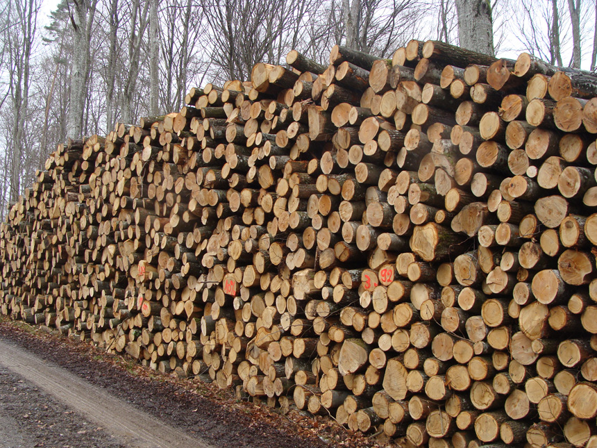 Bois de chauffage pour professionnels en Haute-Loire