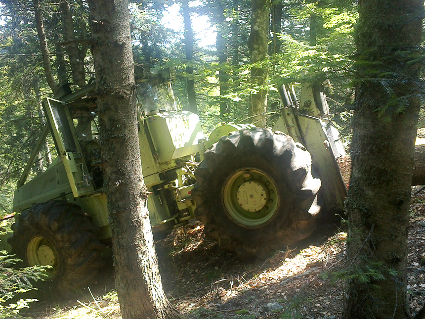 Travaux forestiers en Haute-Loire